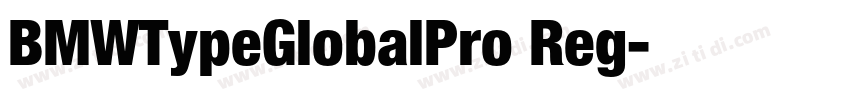 BMWTypeGlobalPro Reg字体转换